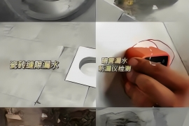 【卫生间漏水】凤凰庄园2栋-王先生